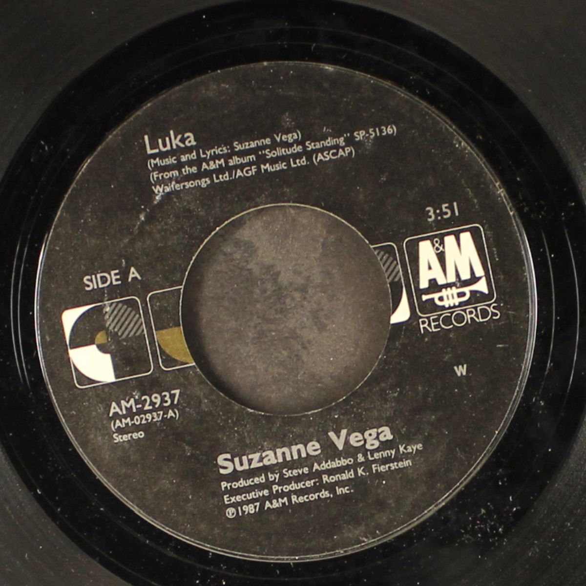 luka / night vision by SUZANNE VEGA