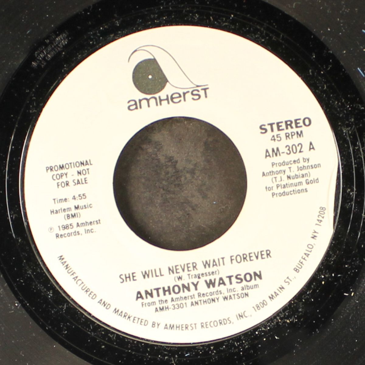 she will never wait forever / same by ANTHONY WATSON