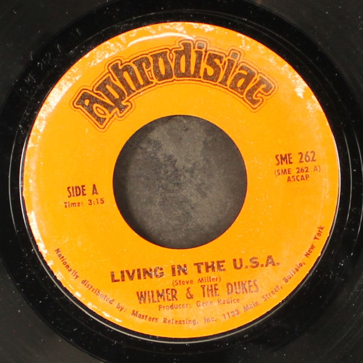 living in the u.s.a. by WILMER & DUKES