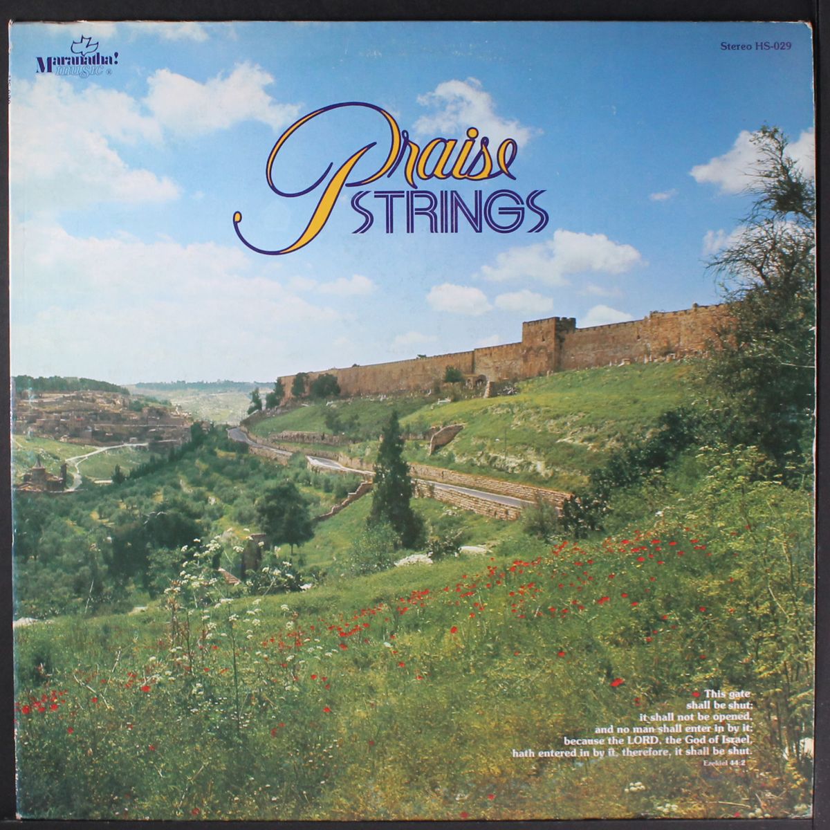 praise strings by PRAISE STRINGS