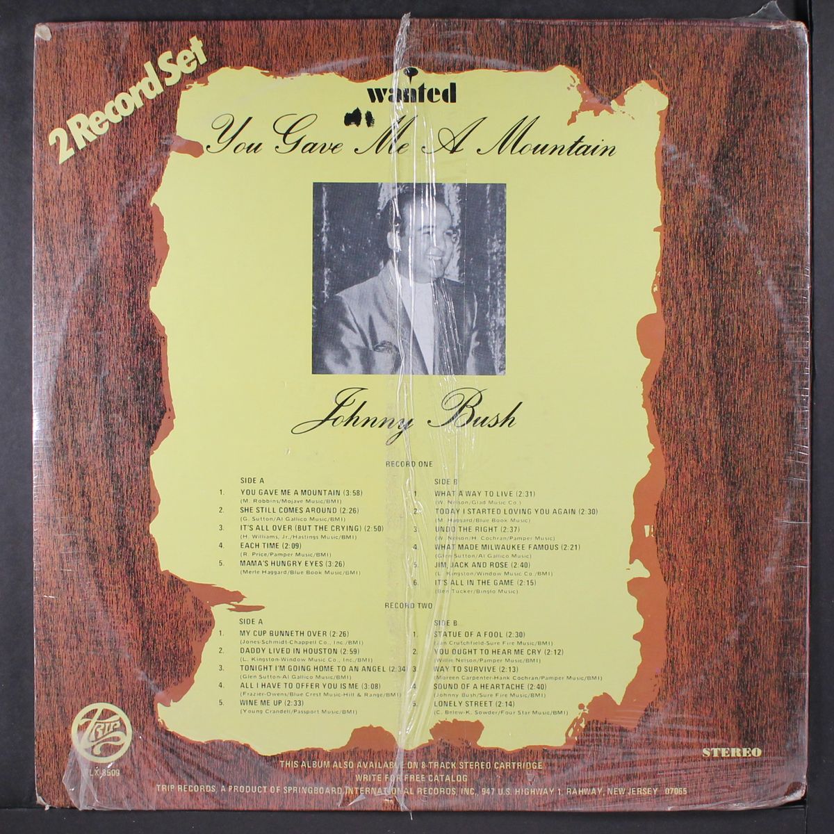 you gave me a mountain by JOHNNY BUSH