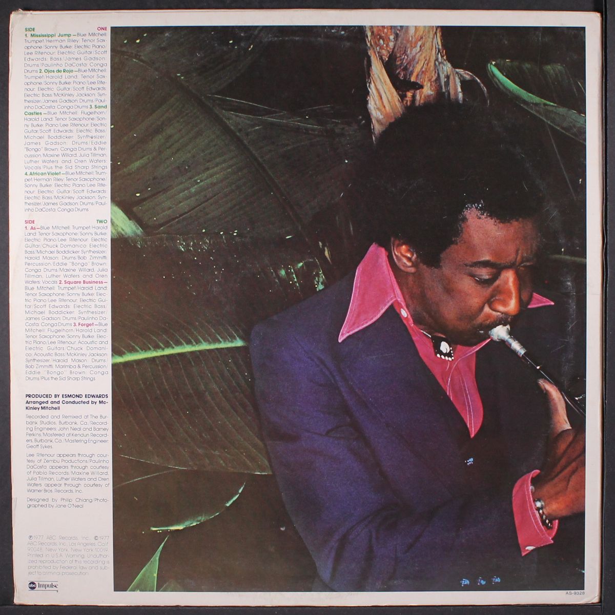 african violet by BLUE MITCHELL