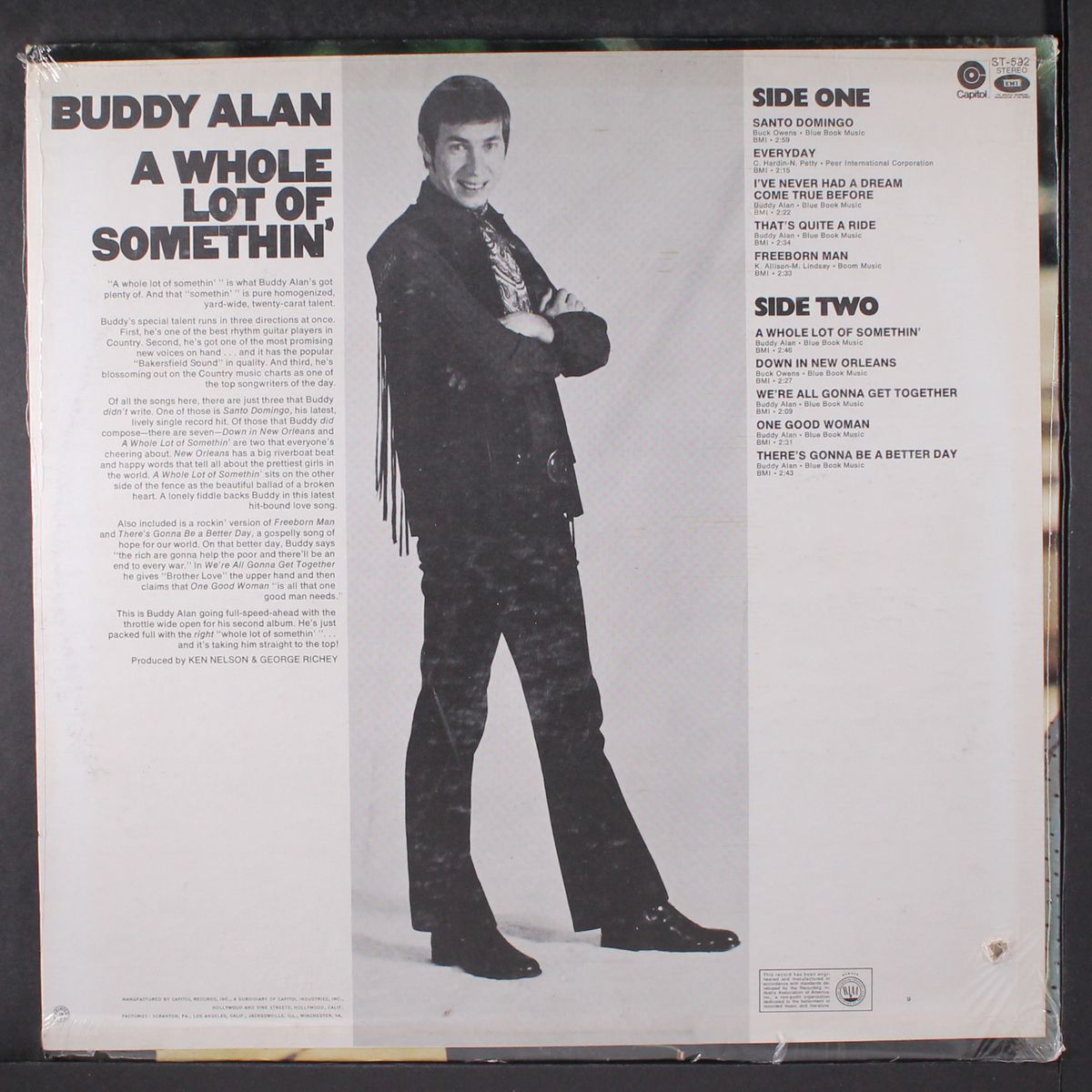 a whole lot of somethin' by BUDDY ALAN