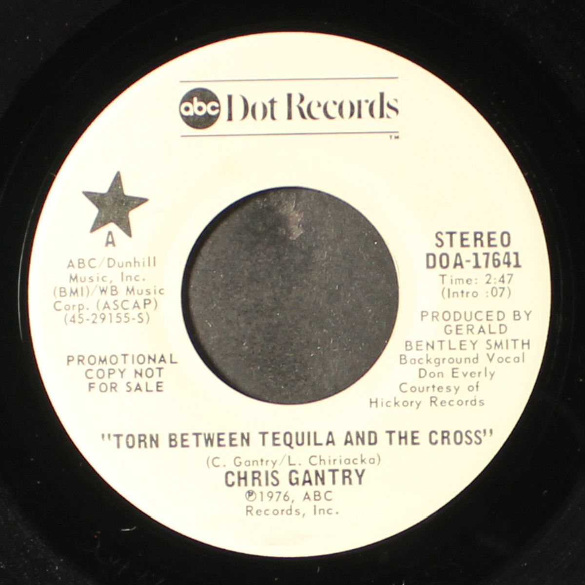 torn between tequila and the cross / atlanta georgia stray by CHRIS GANTRY