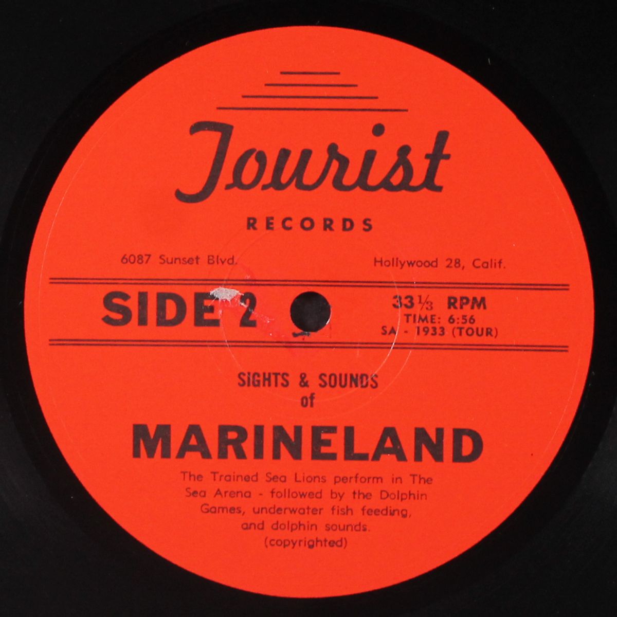 sights & sounds of marineland by NO ARTIST
