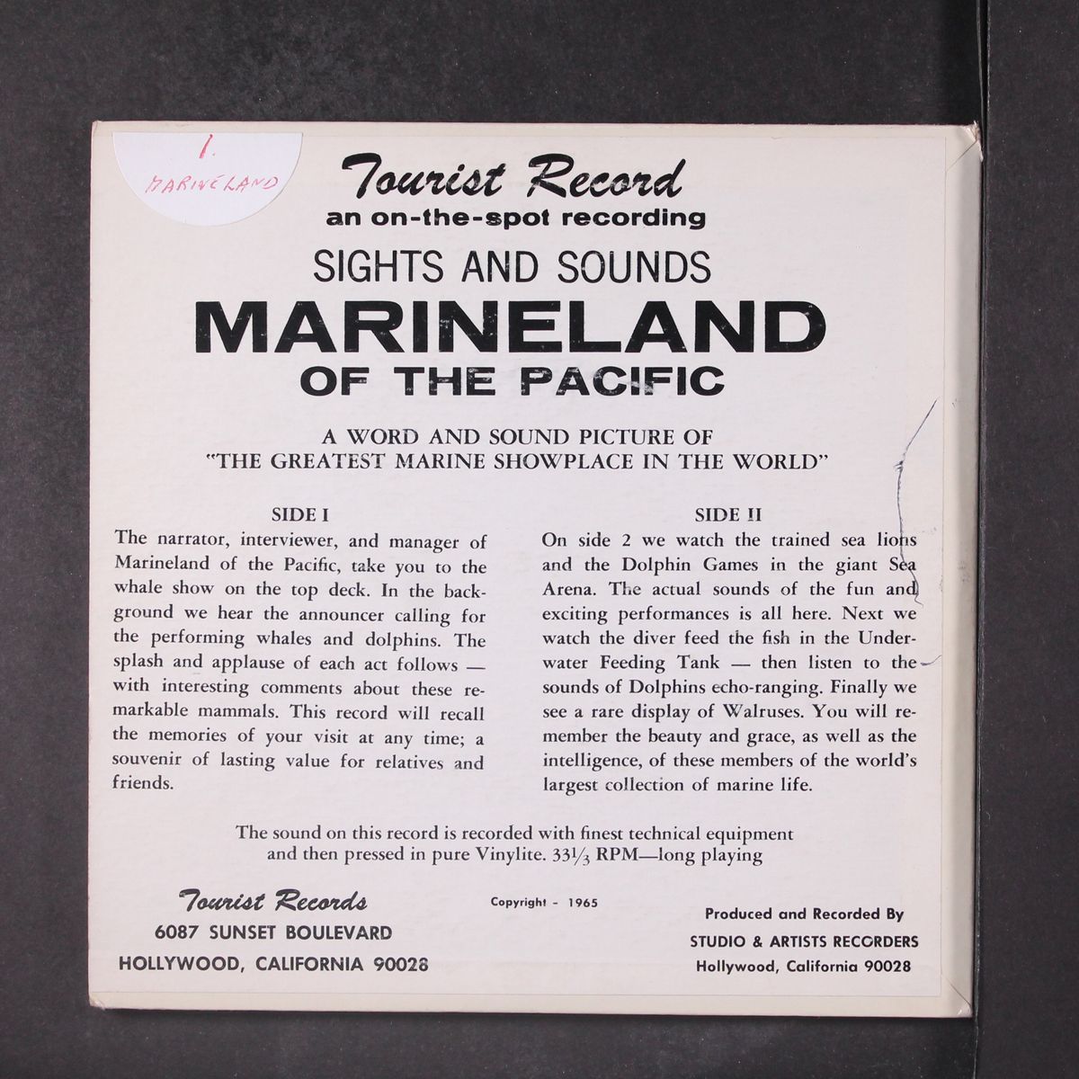 sights & sounds of marineland by NO ARTIST