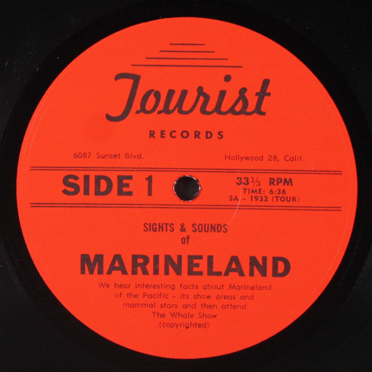 sights & sounds of marineland by NO ARTIST