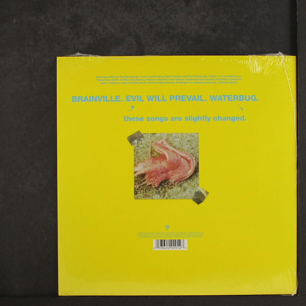 brainville by FLAMING LIPS