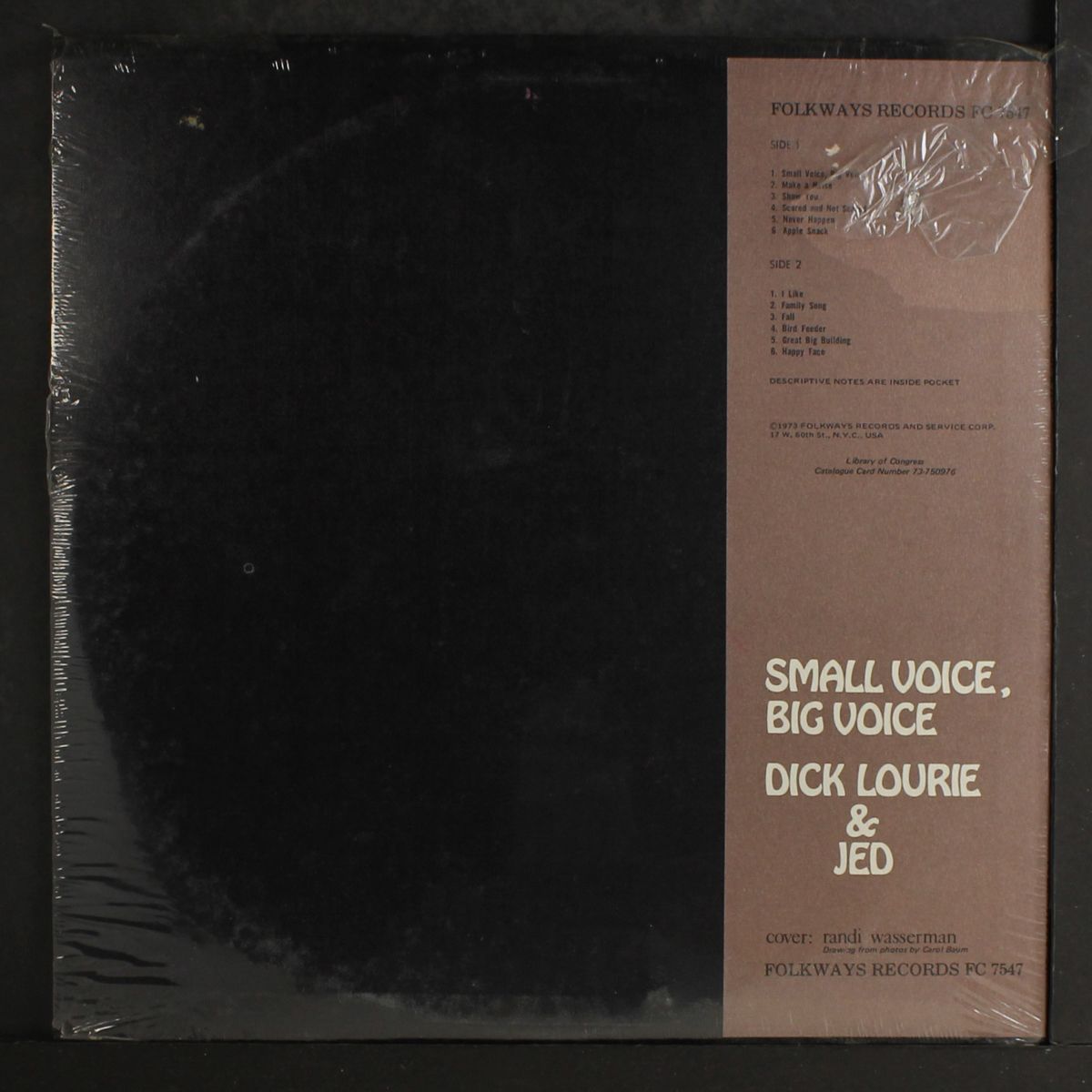 small voice, big voice by DICK LOURIE & JED