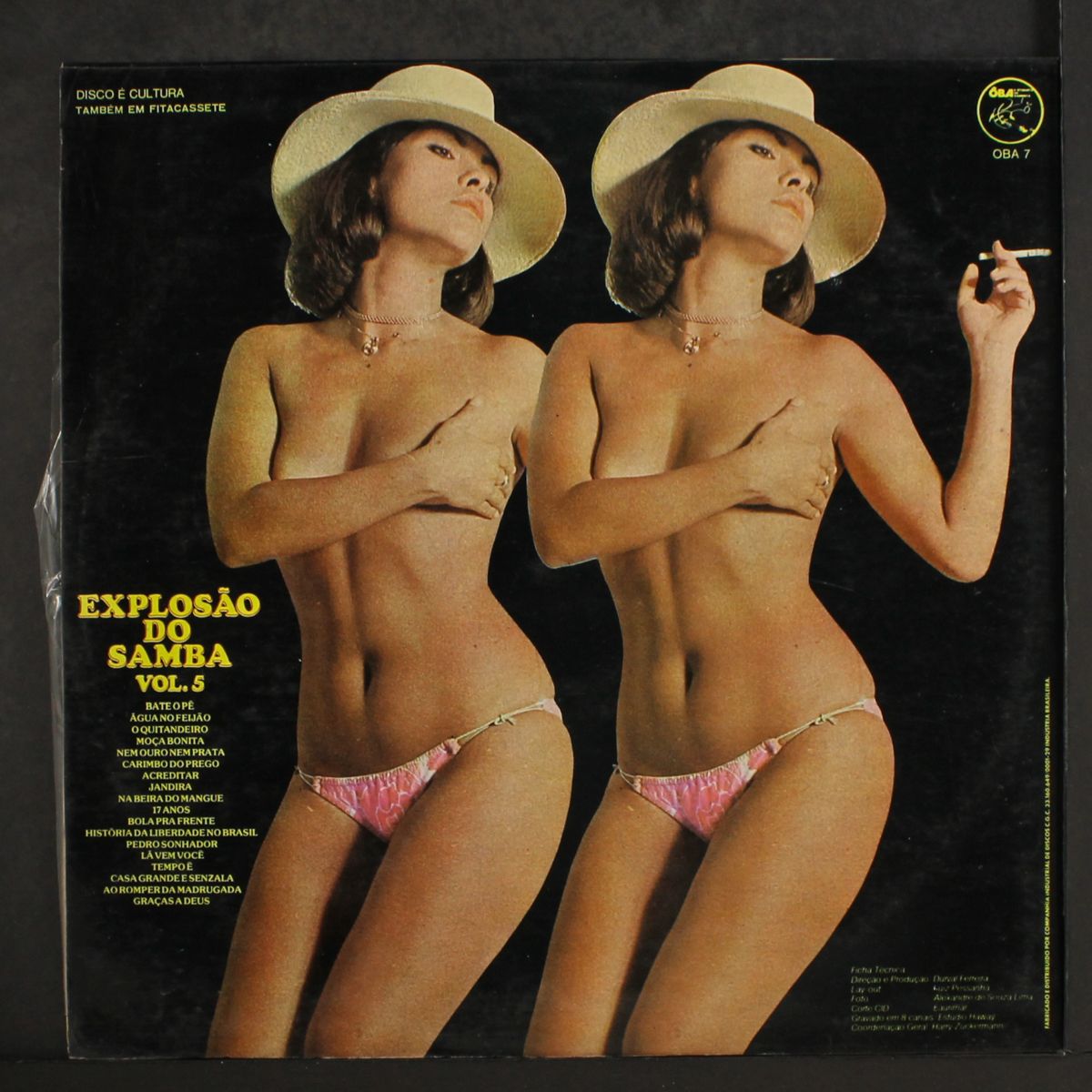 escrete do samba vol. 5 by CONJUNTO EXPLOSAO DO SAMBA