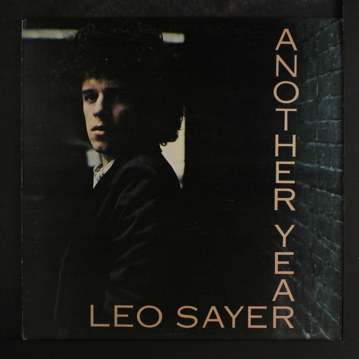 another year by LEO SAYER