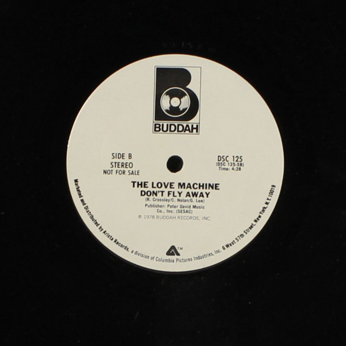 desperately / don't fly away by LOVE MACHINE