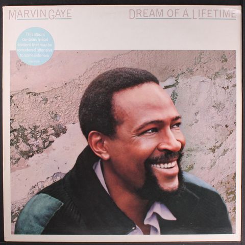 MARVIN GAYE