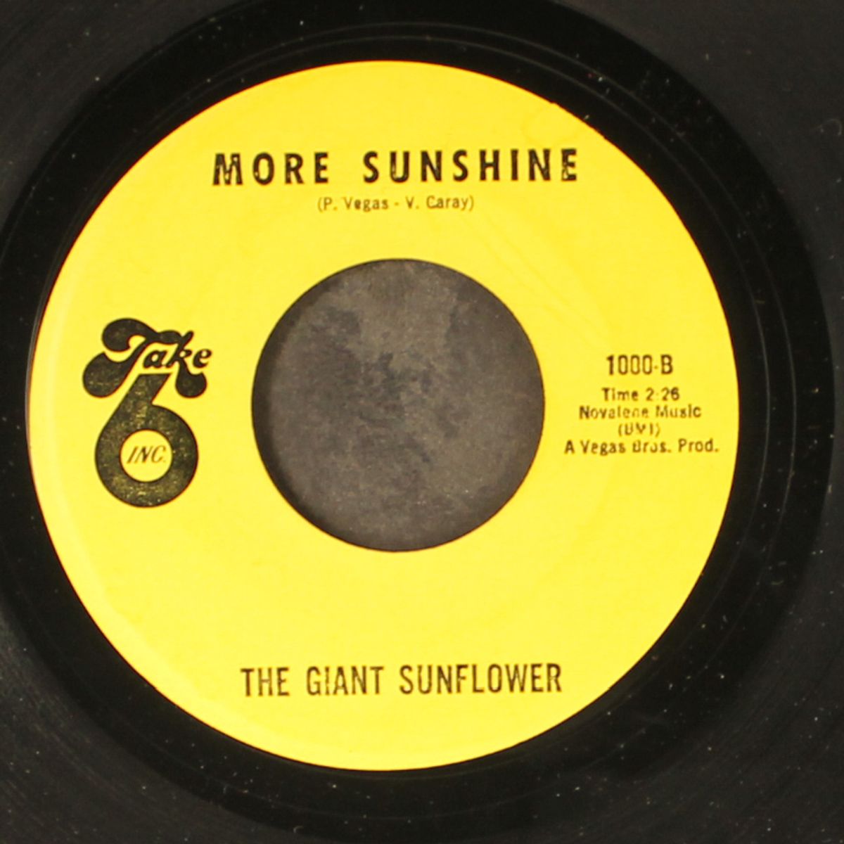 february sunshine / more sunshine by GIANT SUNFLOWER