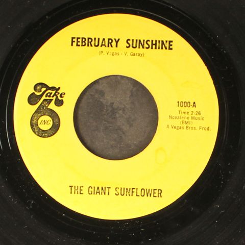GIANT SUNFLOWER