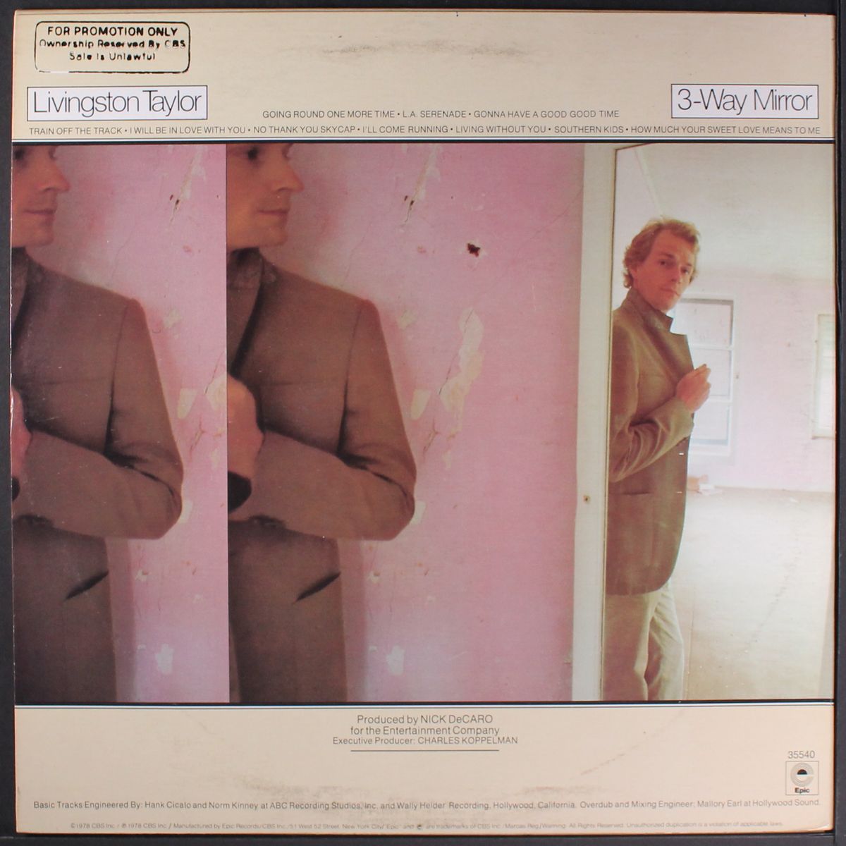 3-way mirror by LIVINGSTON TAYLOR