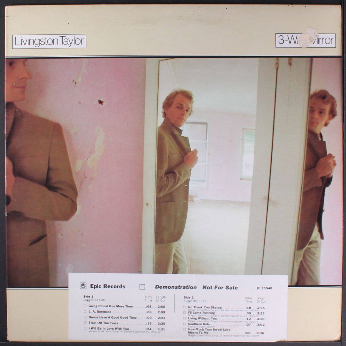 3-way mirror by LIVINGSTON TAYLOR