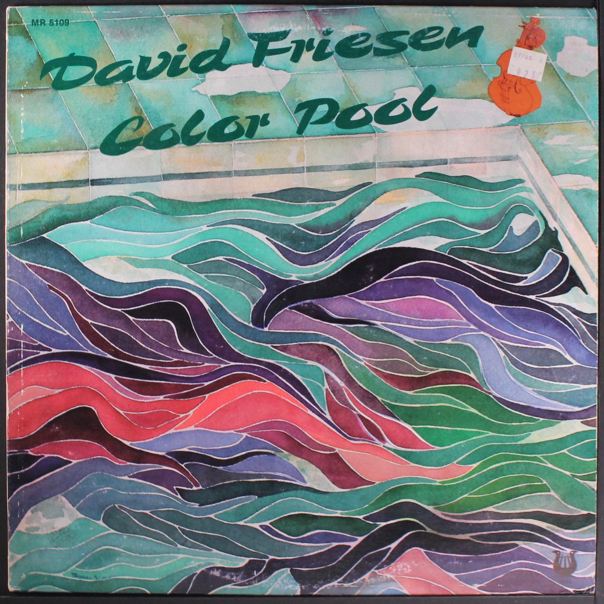 color pool by DAVID FRIESEN