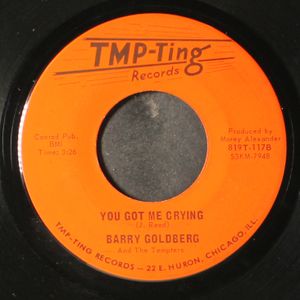 BARRY GOLDBERG & TEMPTERS