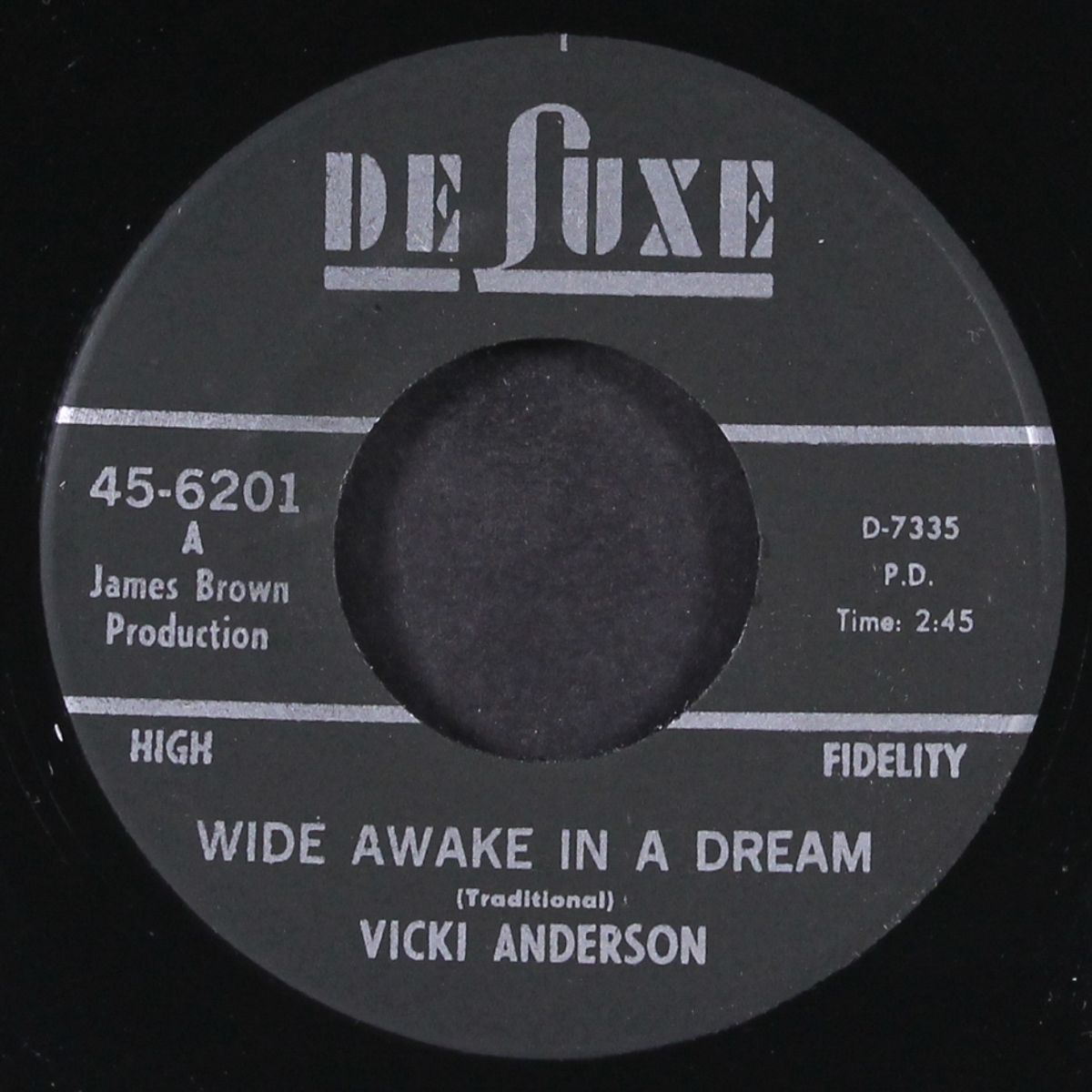 wide awake in a dream / nobody cares by VICKI ANDERSON