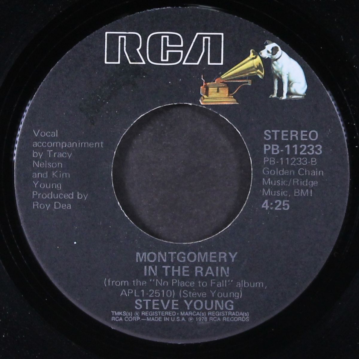 don't think twice it's all right / montgomery in the rain by STVE YOUNG