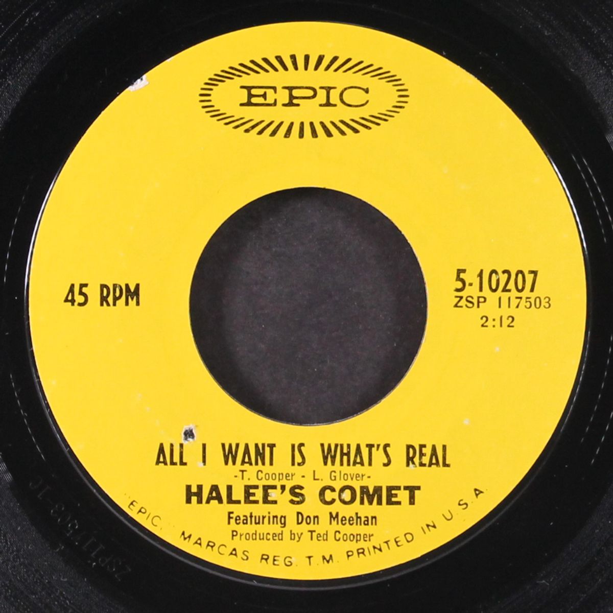 from a parachute / all i want is what's real by HALEE'S COMET