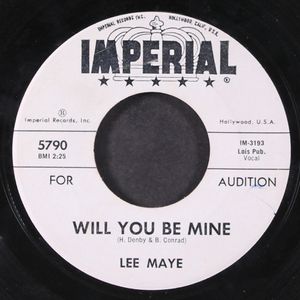 LEE MAYE & GROUP