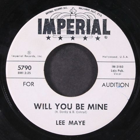 LEE MAYE & GROUP