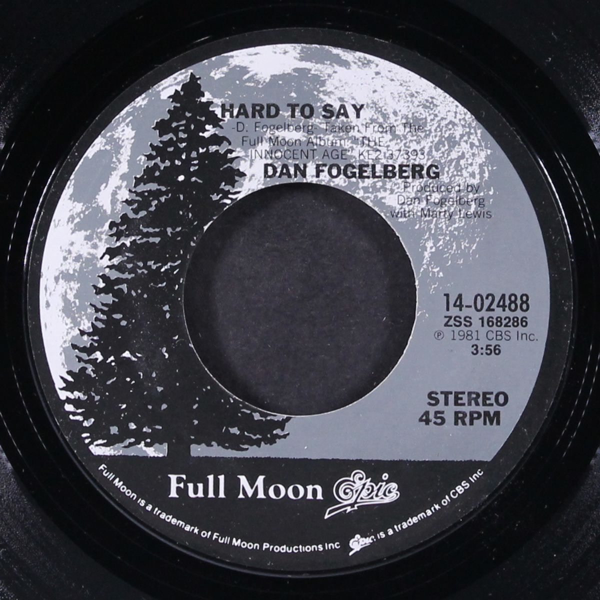 hard to say by DAN FOGELBERG