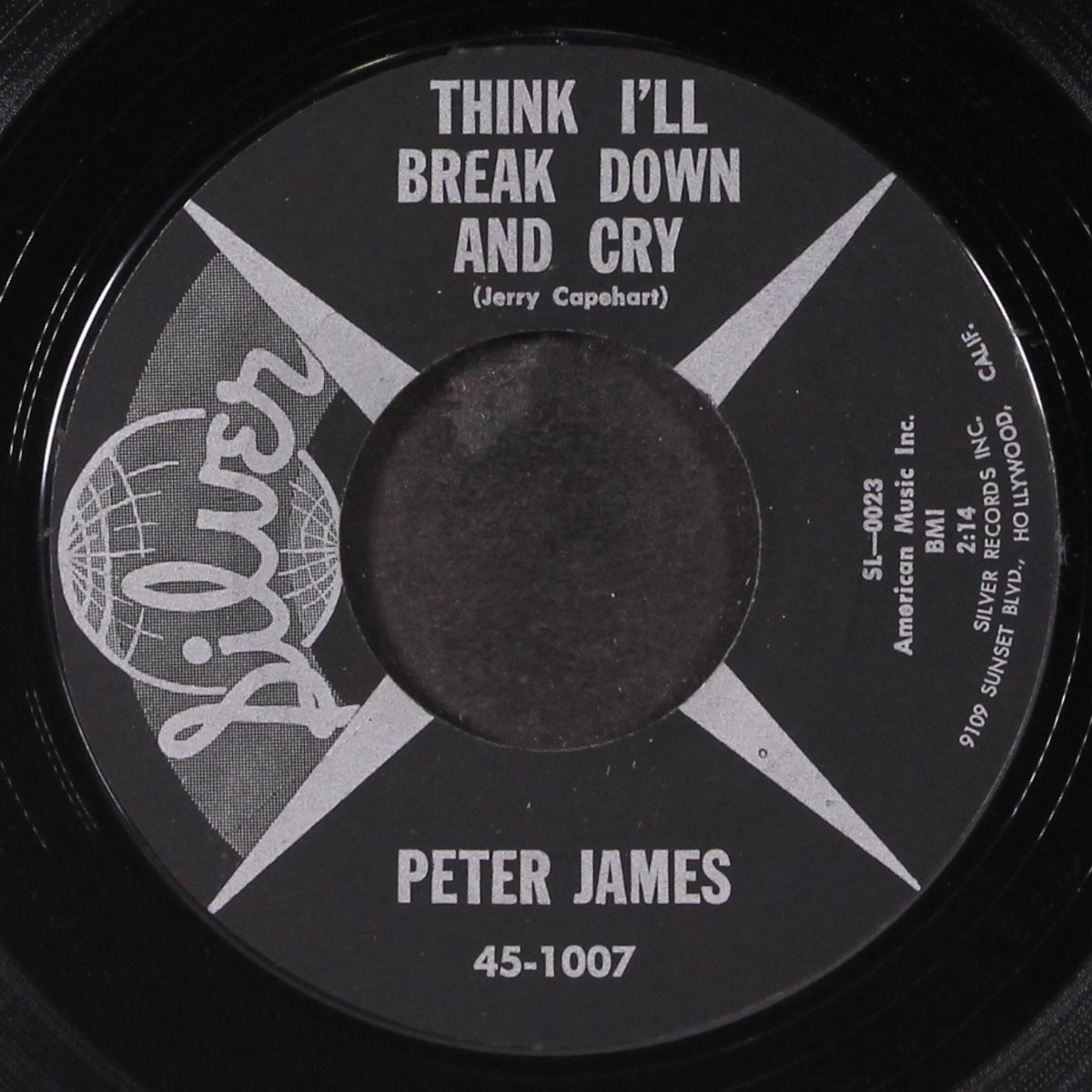 think i'll break down and cry by PETER JAMES