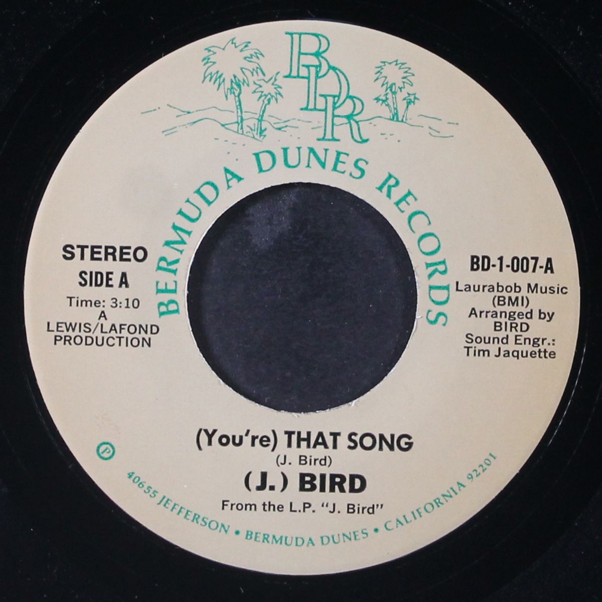 (you're) that song by J. BIRD