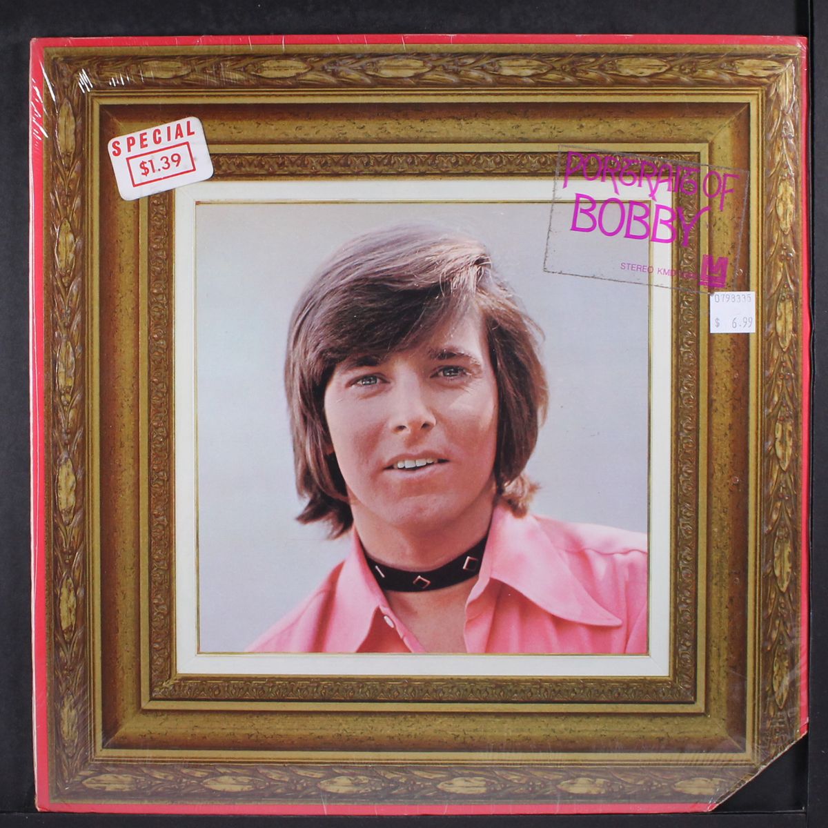 portrait of bobby by BOBBY SHERMAN