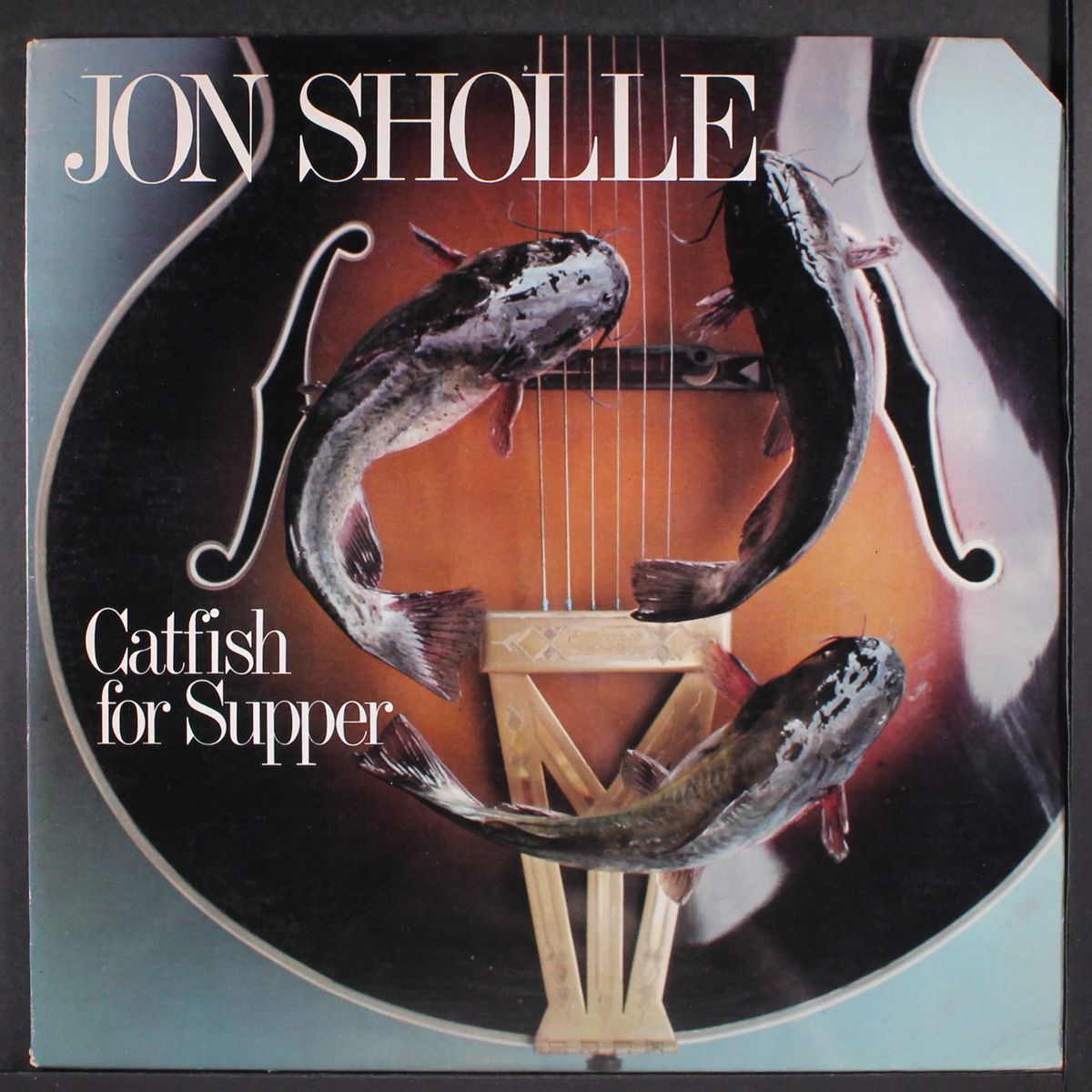 catfish for supper by JON SHOLLE
