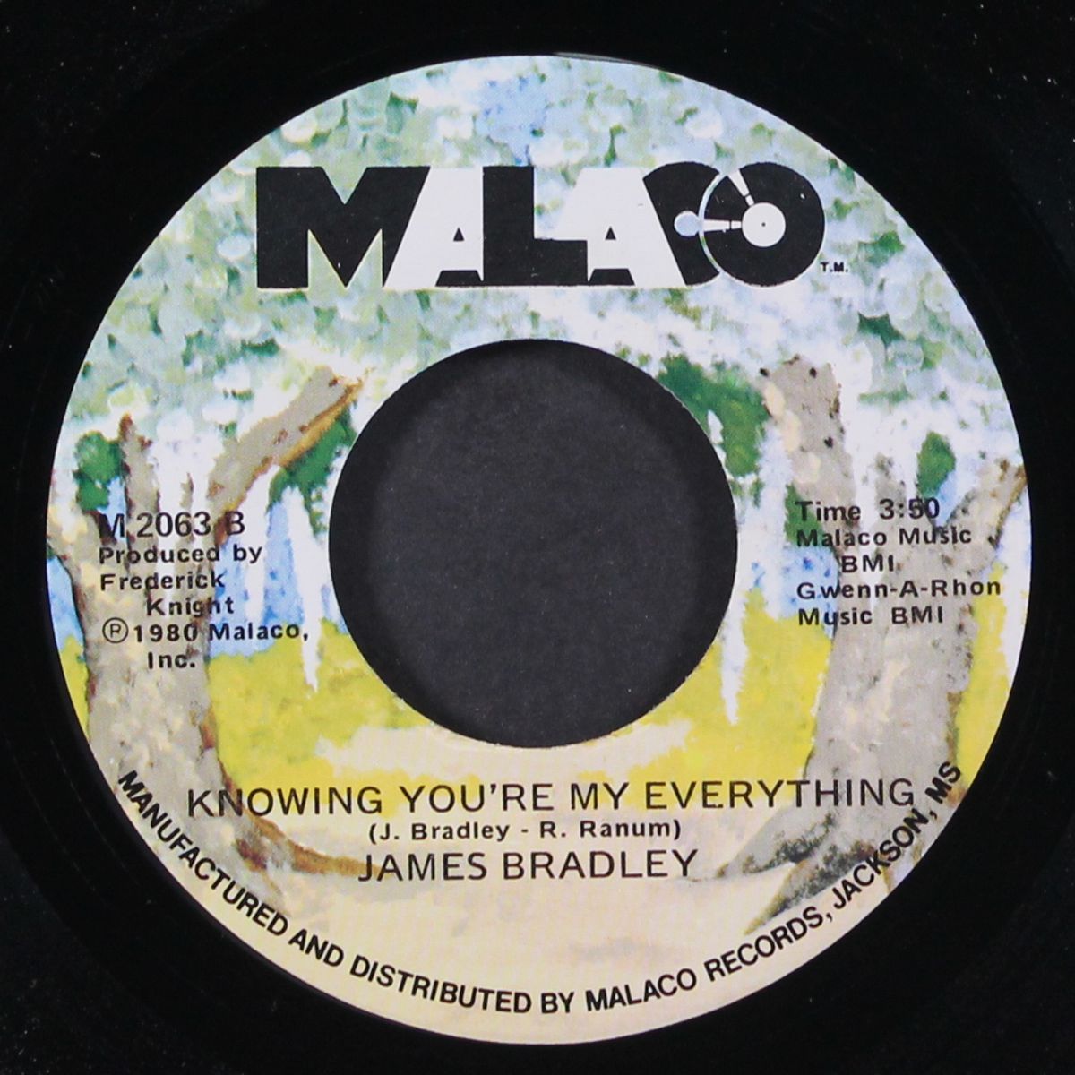 let's do it together / knowing you're my everything by JAMES BRADLEY