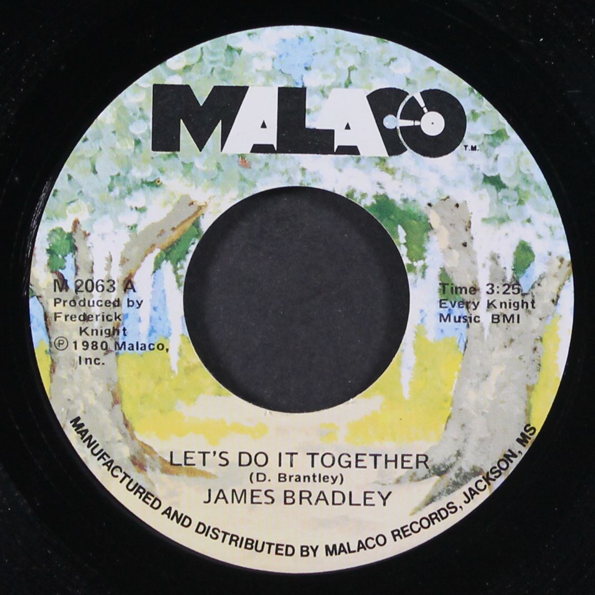 let's do it together / knowing you're my everything by JAMES BRADLEY
