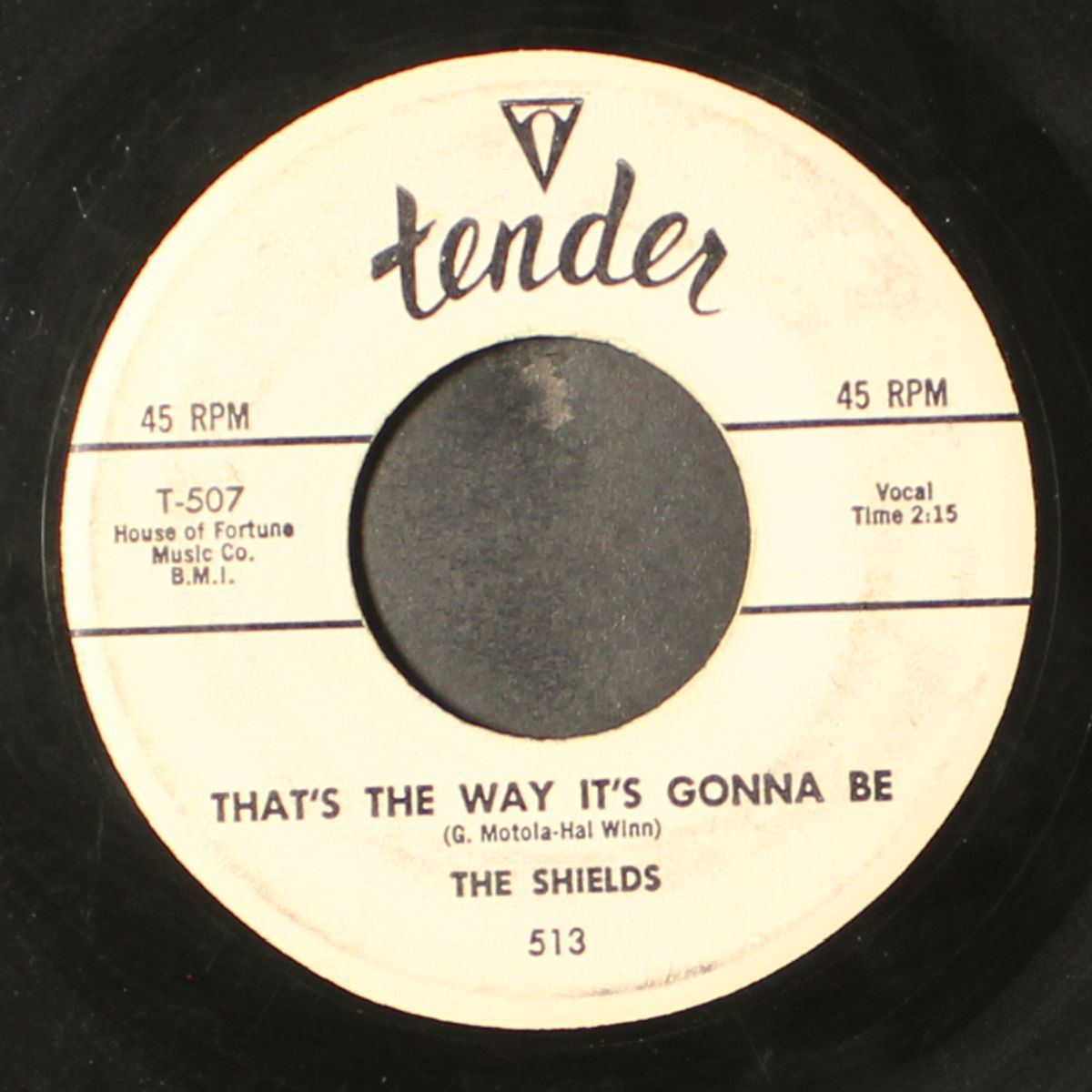 you cheated / that's the way it's gonna be by SHIELDS