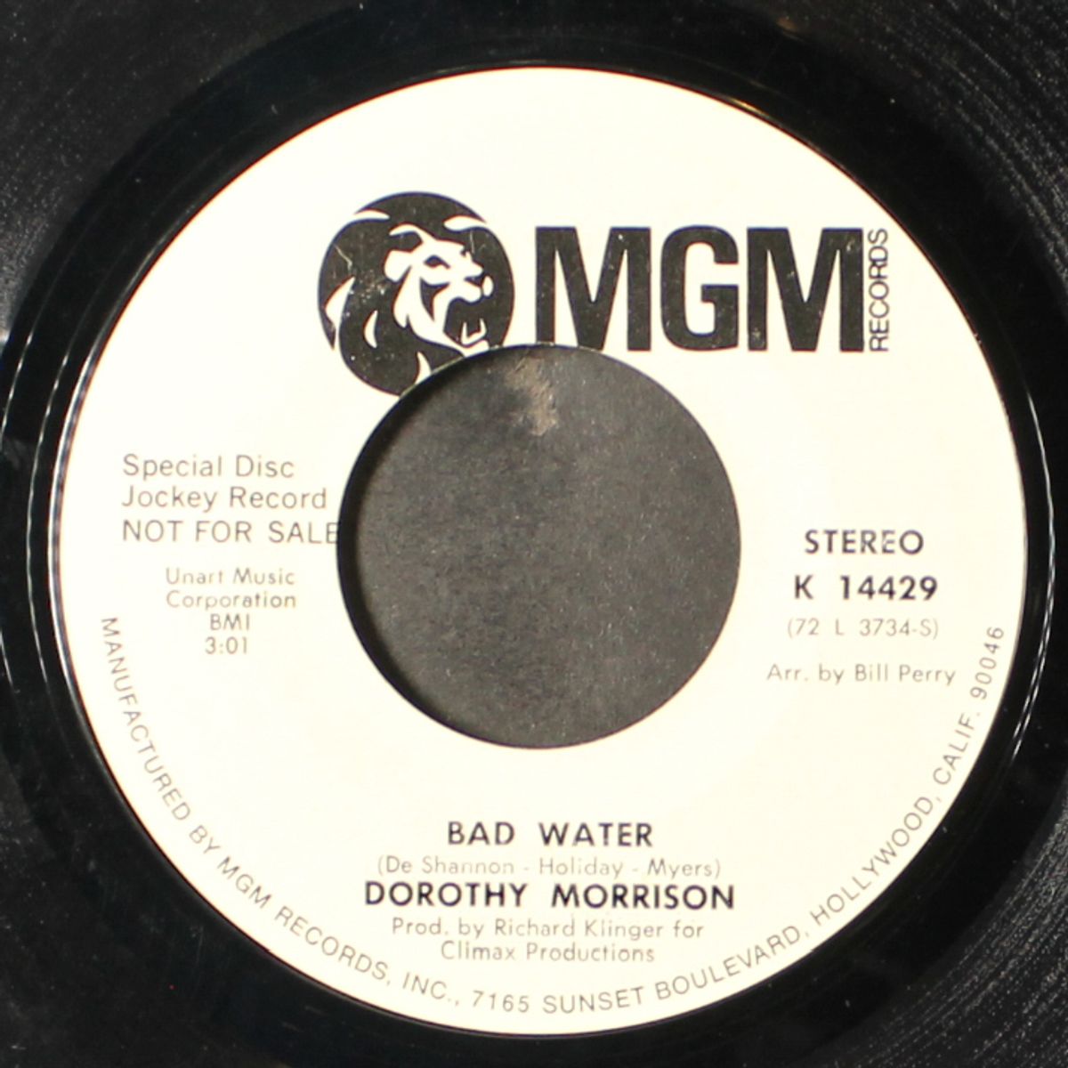 bad water / mono by DOROTHY MORRISON