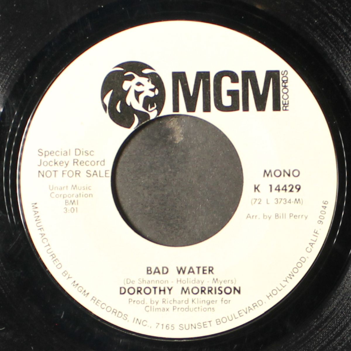 bad water / mono by DOROTHY MORRISON