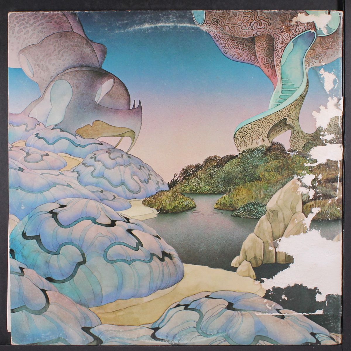beginnings by STEVE HOWE