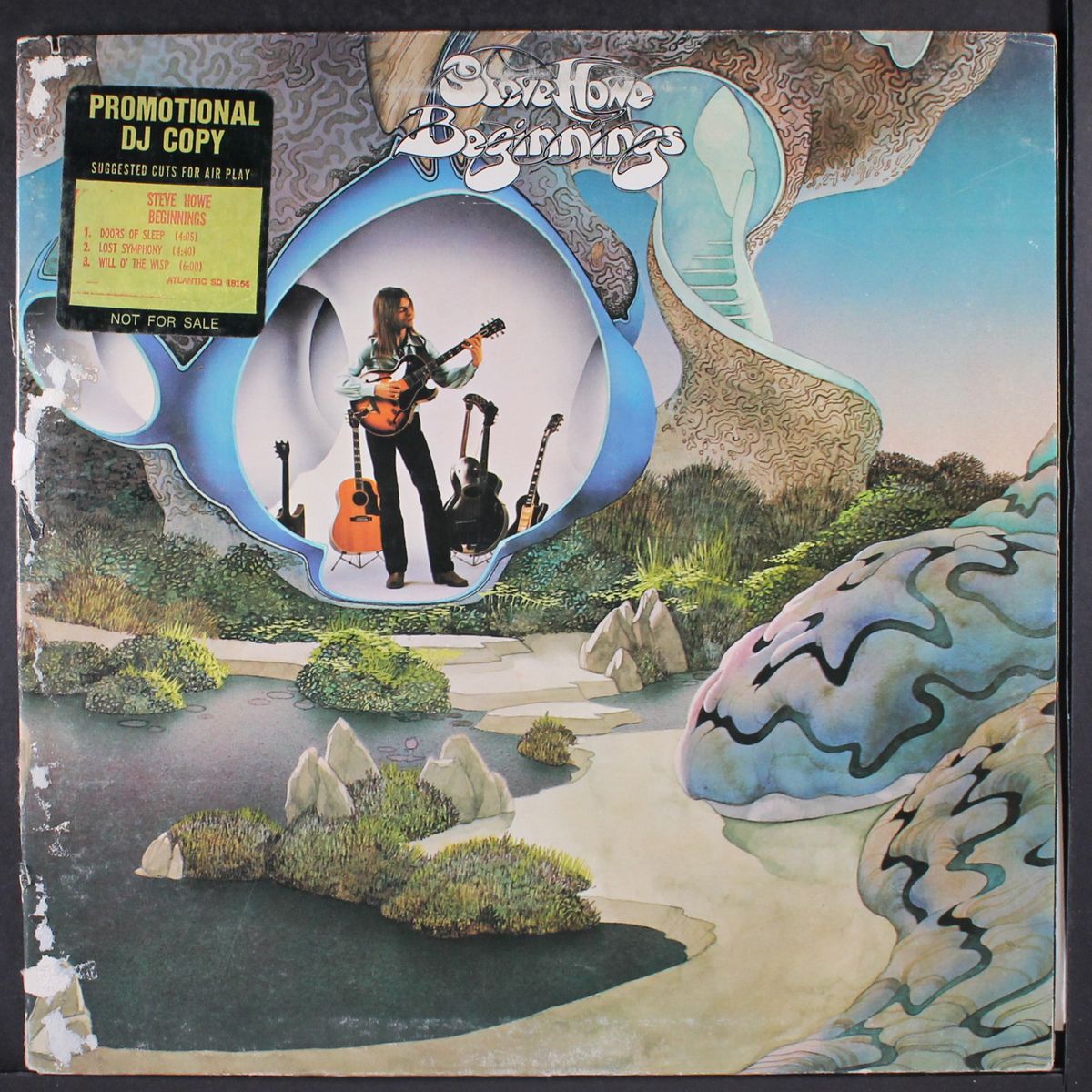 beginnings by STEVE HOWE