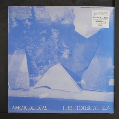 AMOR DE DIAS