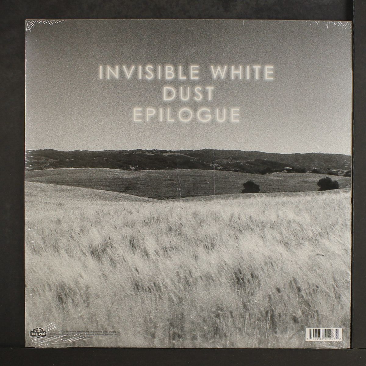invisible white by ANCESTORS