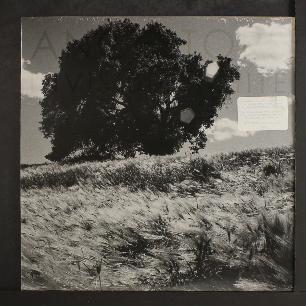 invisible white by ANCESTORS