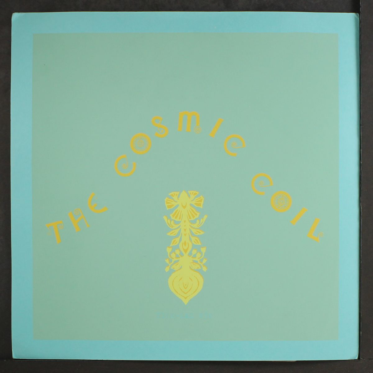 the cosmic coil by PRISMA