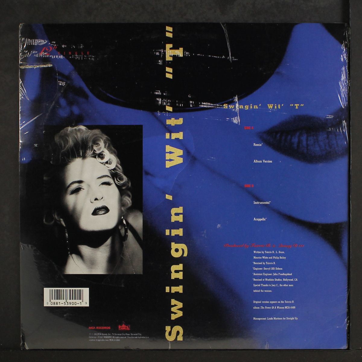 swingin' wit' "t" by TAIRRIE B.