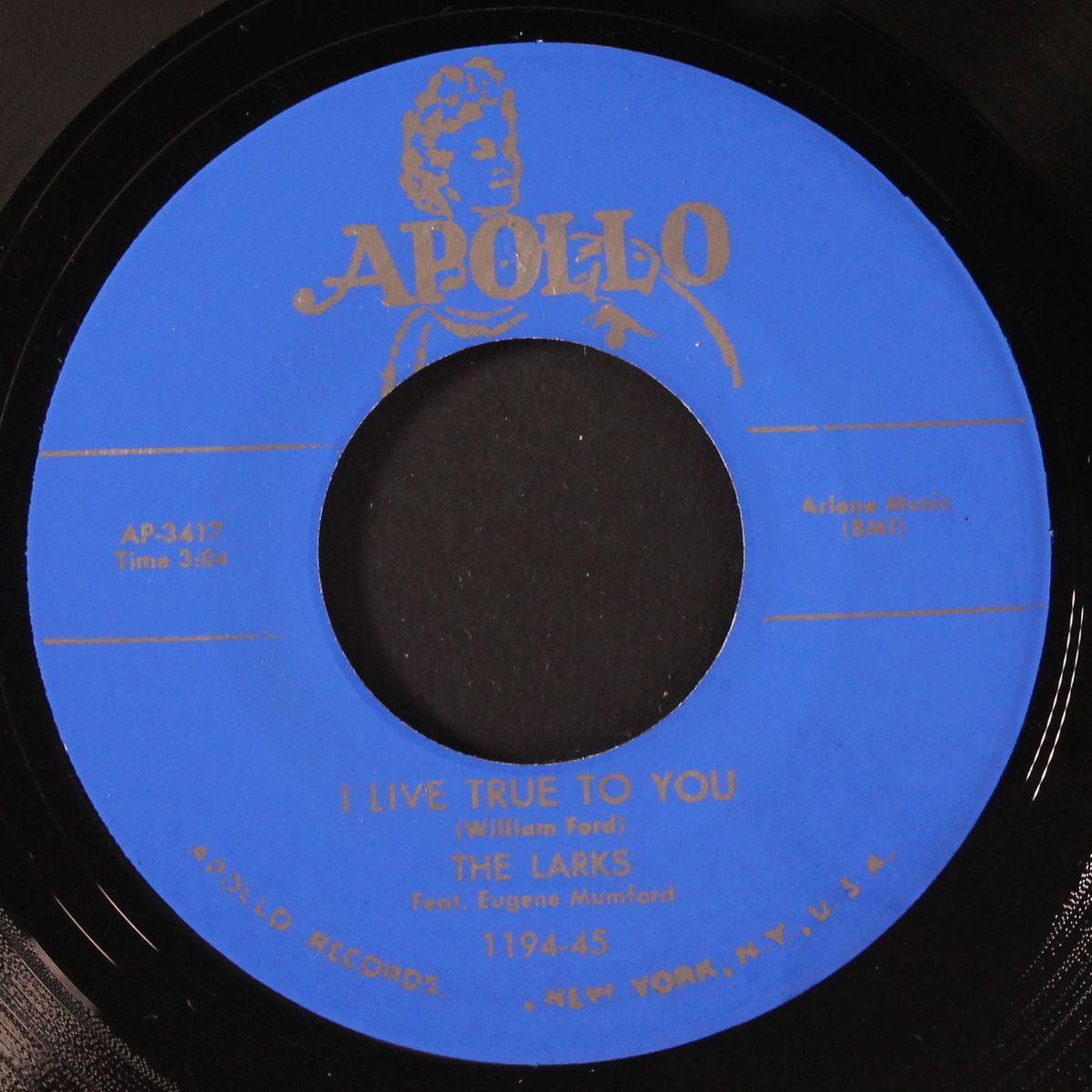 i live true to you / hold me by LARKS