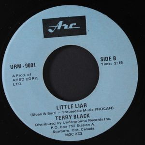 STITCH IN TYME / TERRY BLACK