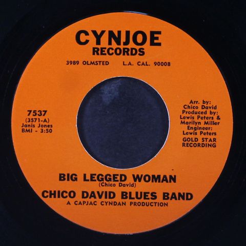 CHICO DAVID BLUES BAND