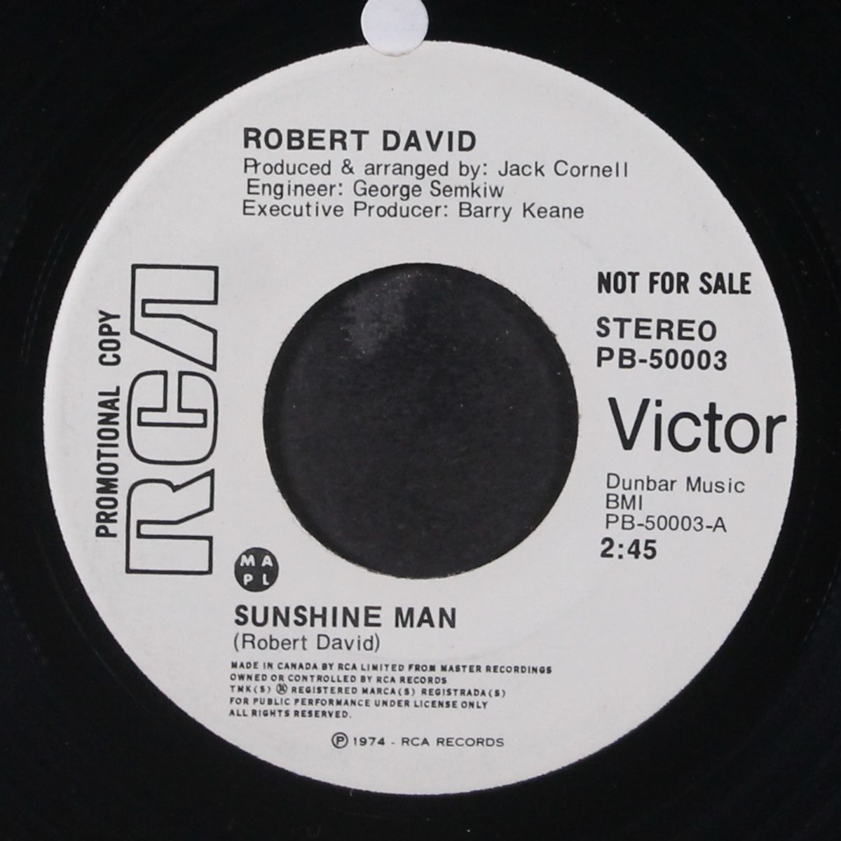 sunshine man / easier by ROBERT DAVID