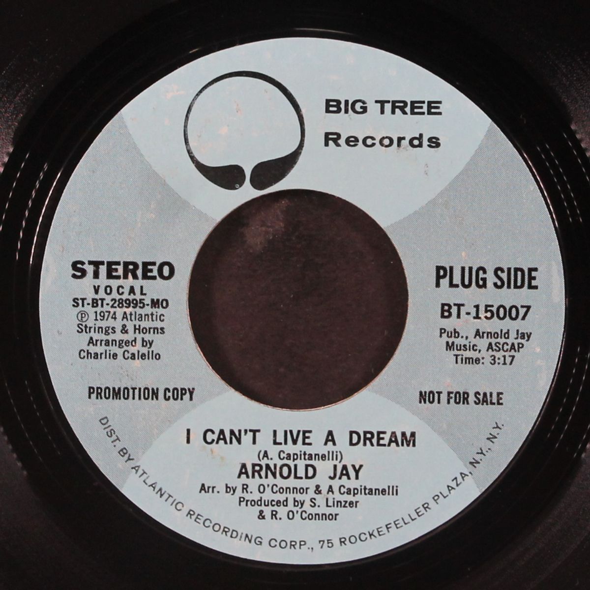 i can't live a dream by ARNOLD JAY
